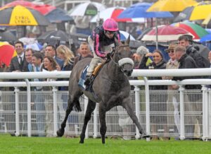 230802 0223 Flora Of Bermuda