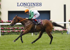 78F0031 Crystal Black