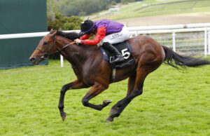 78F2194 Serried Ranks