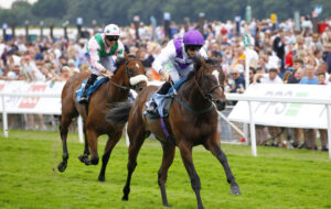 78F2324 Twilight Romance