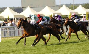 78F4275 Witch Hunter