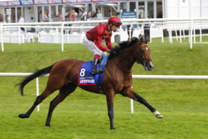 78F6681 Middle Earth