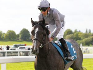 78F8434 Brave Empire