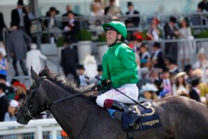 78F9657 Running Lion