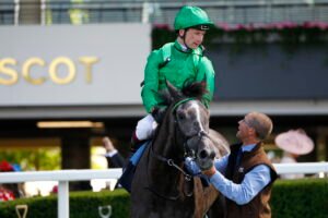 78F9659 Running Lion