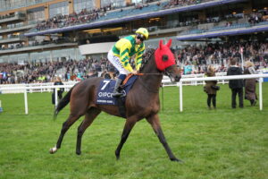 BK1A1746 Horizon Dore