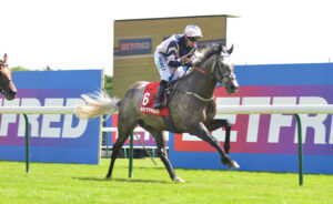 DSC 0058 Iron Lion