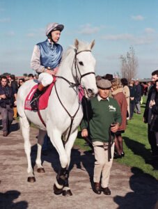 R001 002 Desert Orchid