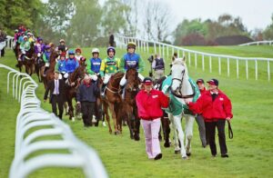 R001 006 Desert Orchid