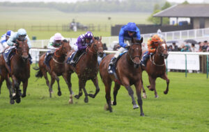 X5B7250 Noble Dynasty