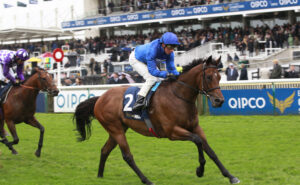 X5B7262 Noble Dynasty