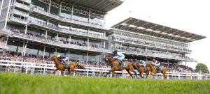 16B0071 Stradivarius