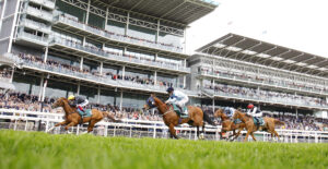 16B0072 Stradivarius