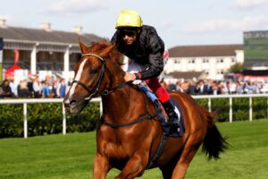 16B0211 Stradivarius