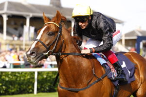 16B0214 Stradivarius