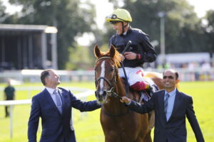 16B0220 Stradivarius