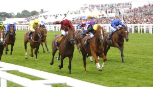 16B0619 Stradivarius