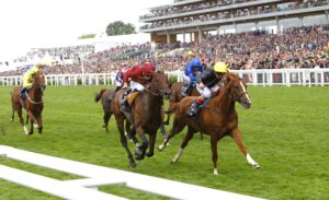 16B0621 Stradivarius