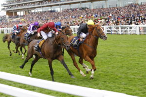 16B0623 Stradivarius