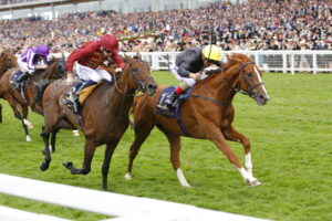 16B0624 Stradivarius