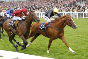 16B0625 Stradivarius