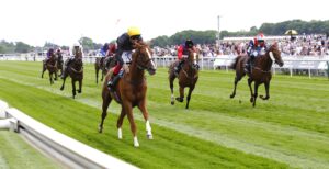 16B0991 Stradivarius