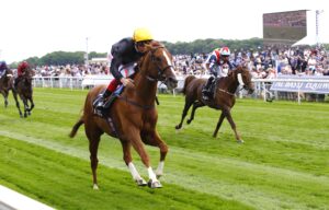 16B0995 Stradivarius