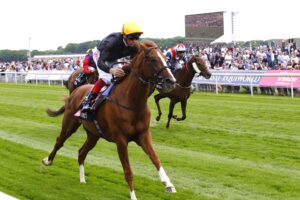 16B0996 Stradivarius