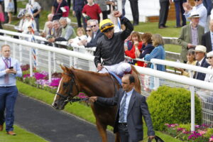 16B1005 Stradivarius