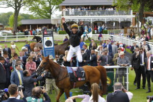 16B1013 Stradivarius