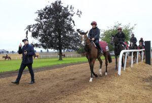 16B2958 Aidan O’Brien