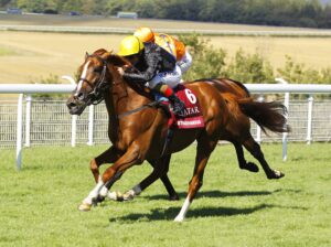 16B3755 Stradivarius