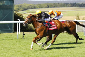 16B3759 Stradivarius