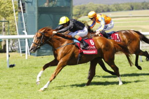 16B3760 Stradivarius