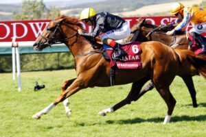 16B3764 Stradivarius