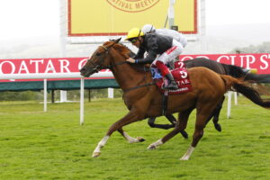 16B3877 Stradivarius