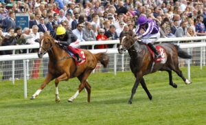 16B4035 Stradivarius