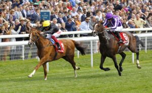 16B4036 Stradivarius