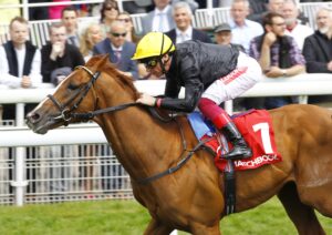 16B4055 Stradivarius