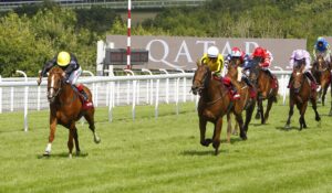 16B7145 Stradivarius