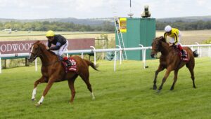 16B7148 Stradivarius