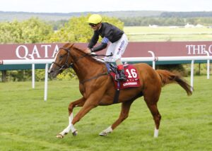 16B7152 Stradivarius