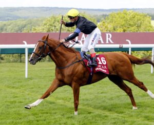 16B7153 Stradivarius