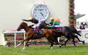 16B8056 Stradivarius