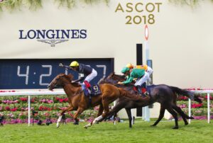 16B8059 Stradivarius