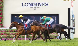 16B8060 Stradivarius