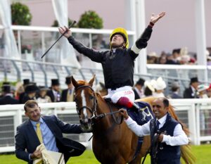 16B8064 Stradivarius