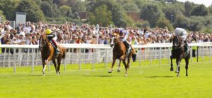 16B8167 Stradivarius