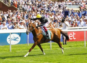 16B8180 Stradivarius