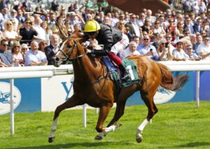 16B8182 Stradivarius